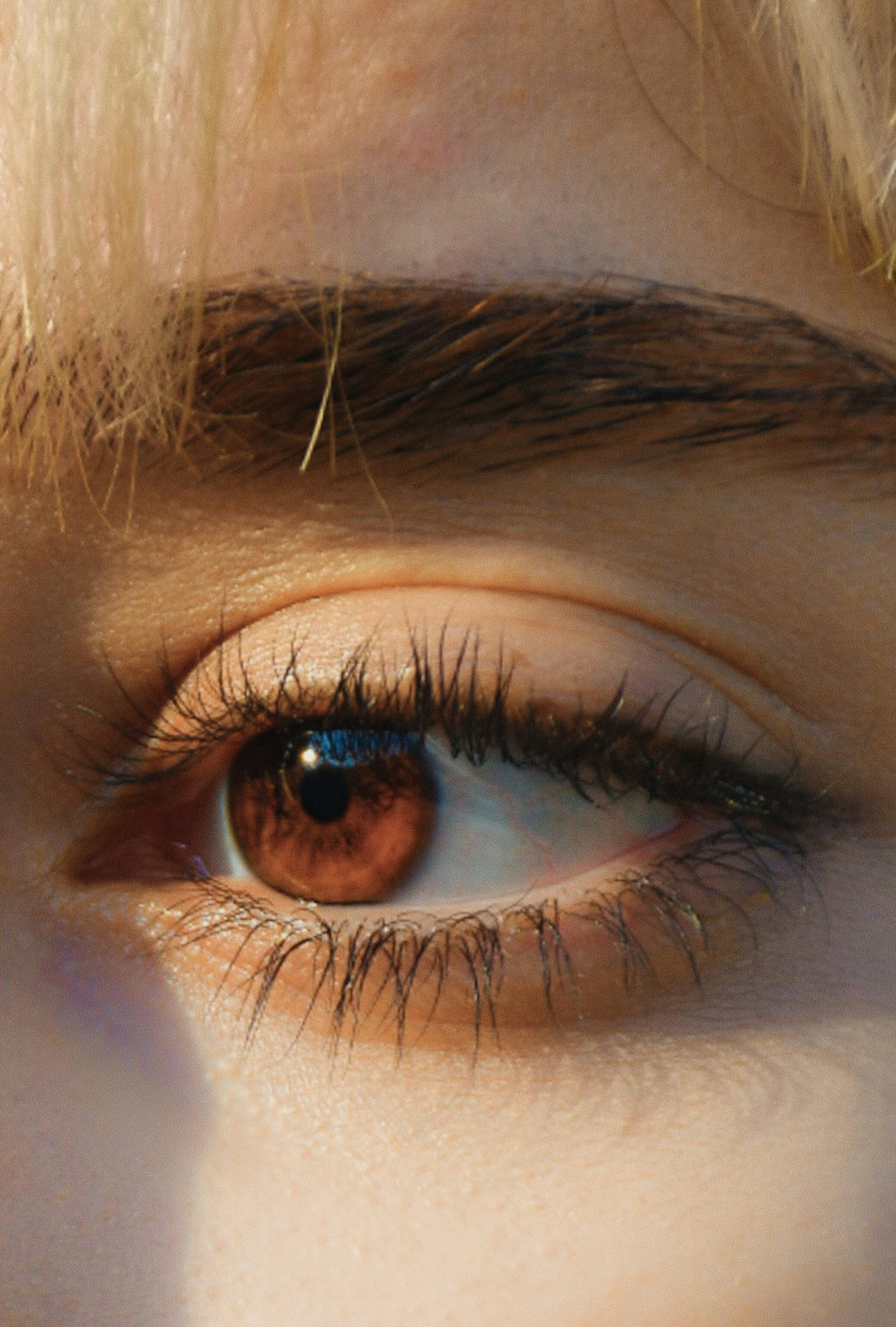A close-up of an eye with light brown iris, detailed eyelashes, and blonde eyebrow hair. The lighting creates soft shadows over the skin.