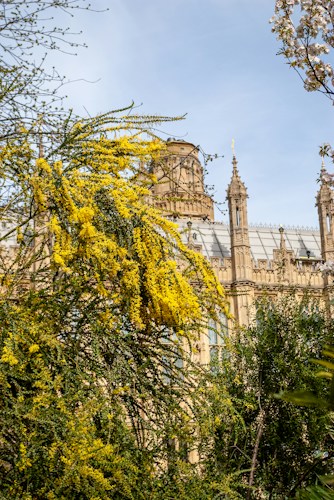 Palace of Westminster: The Heart of British Democracy