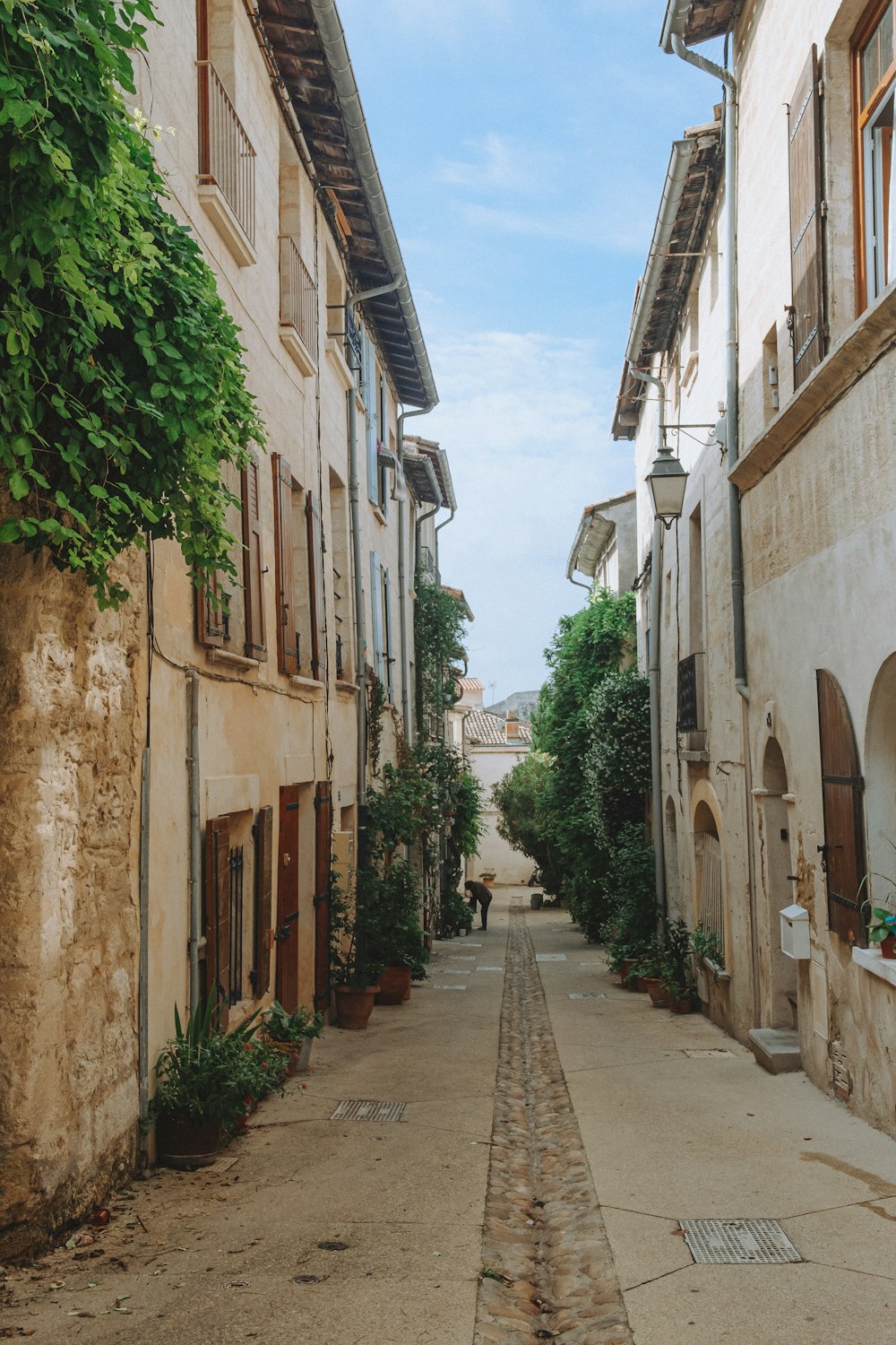 a narrow street lined with buildings and trees