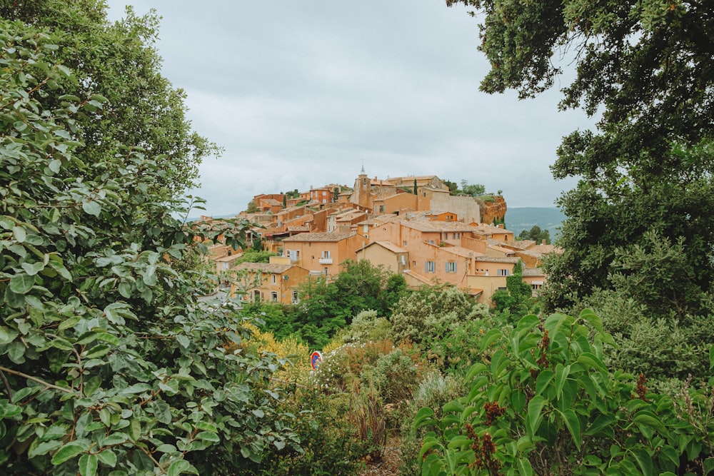 a small village surrounded by trees and bushes