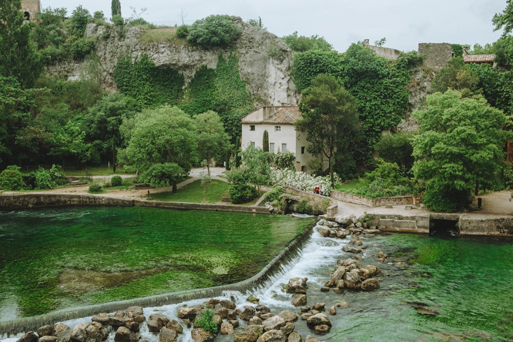 a river running through a lush green forest