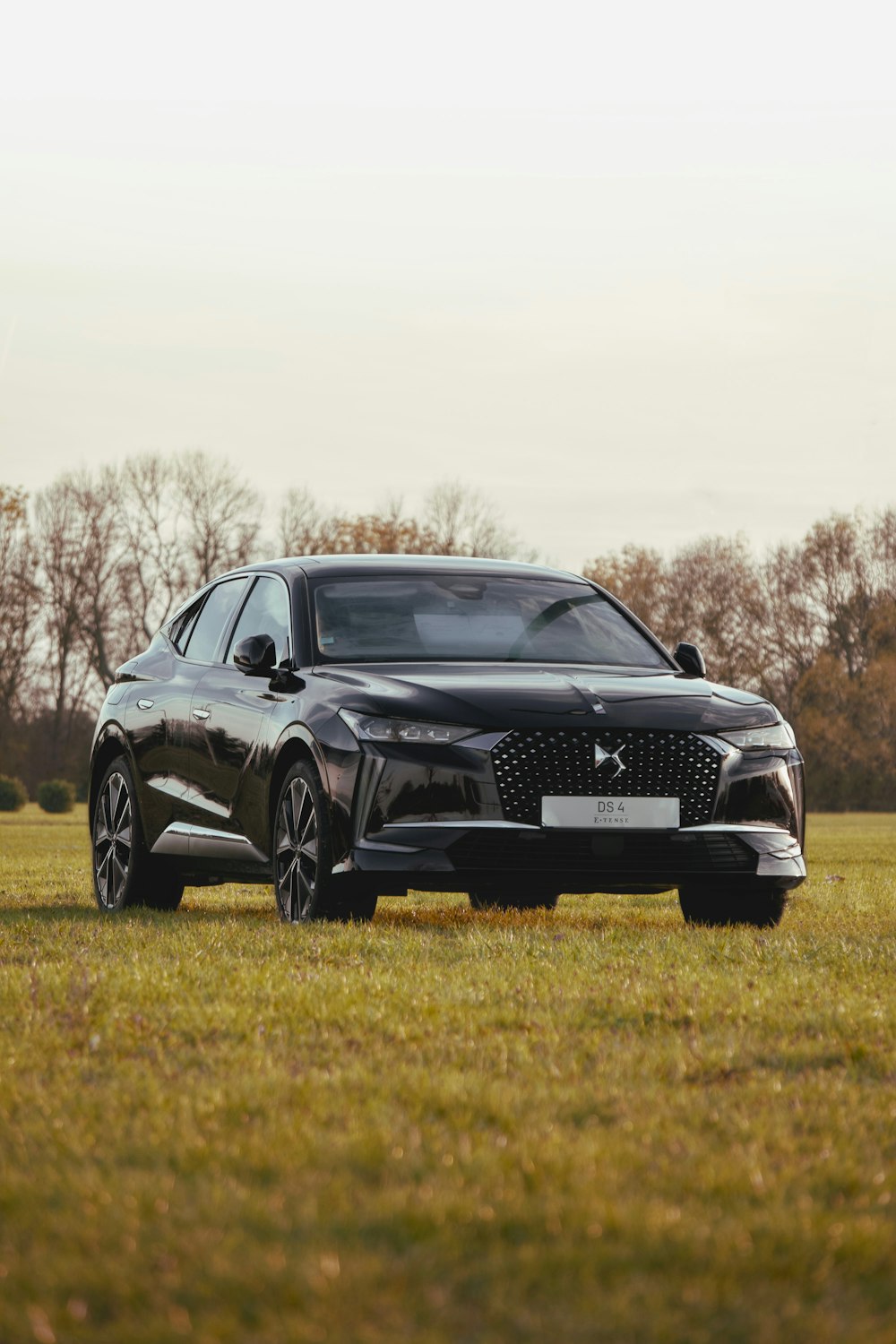 a black car parked in a field of grass