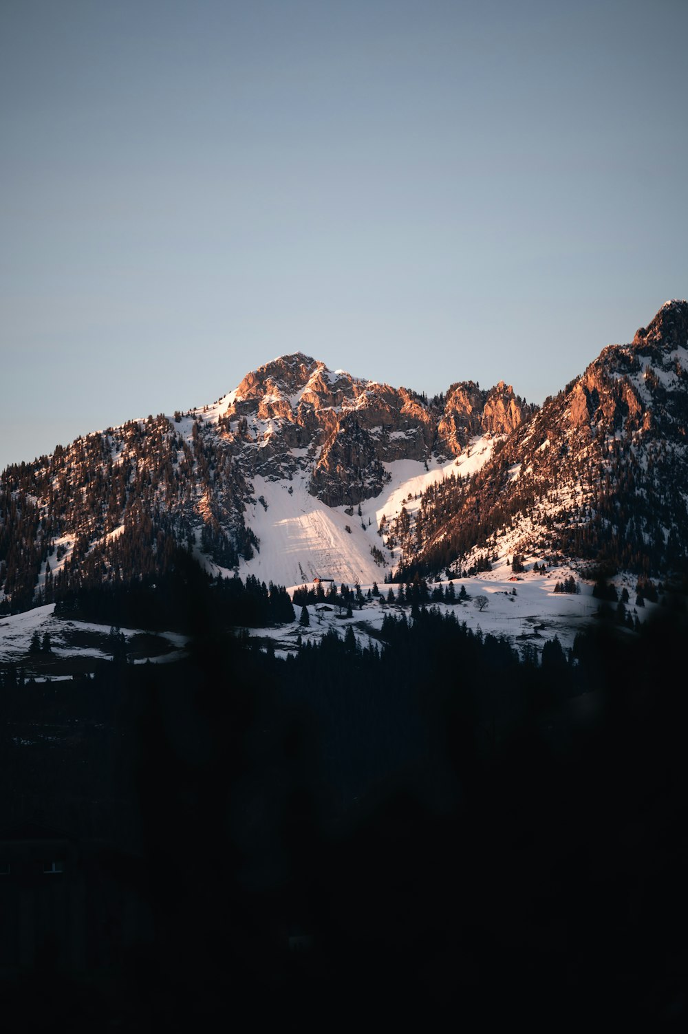 una montagna innevata con alberi in primo piano