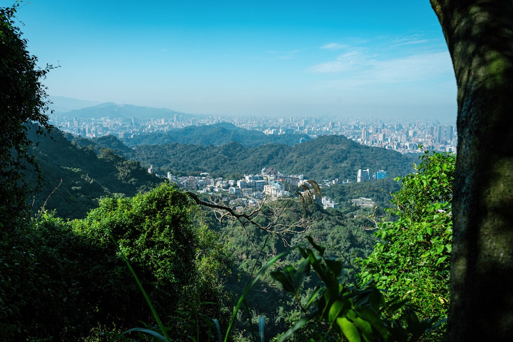 a view of a city in the distance from a hill