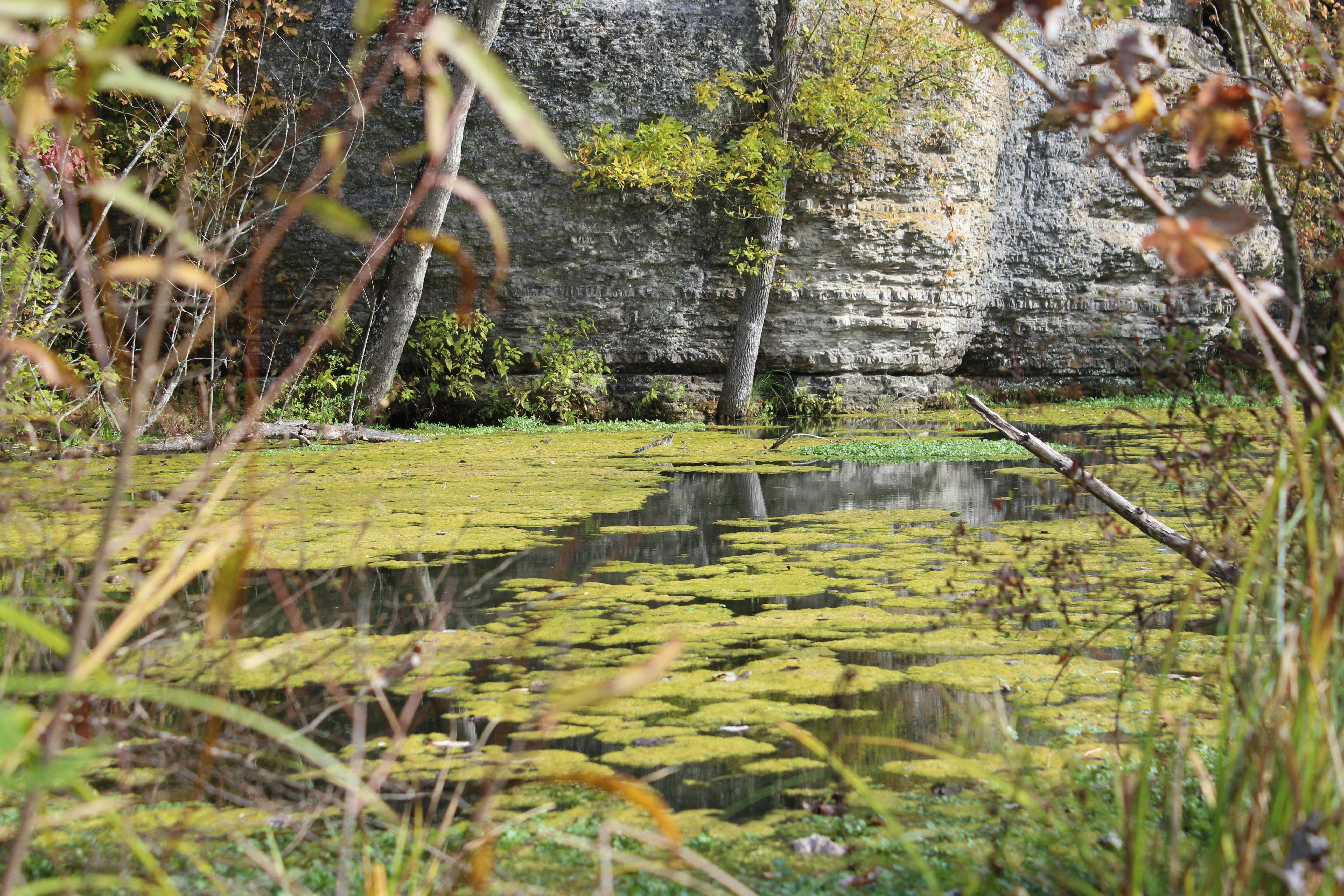 photo by Stacey Hayden (@s_hayden) on unsplash