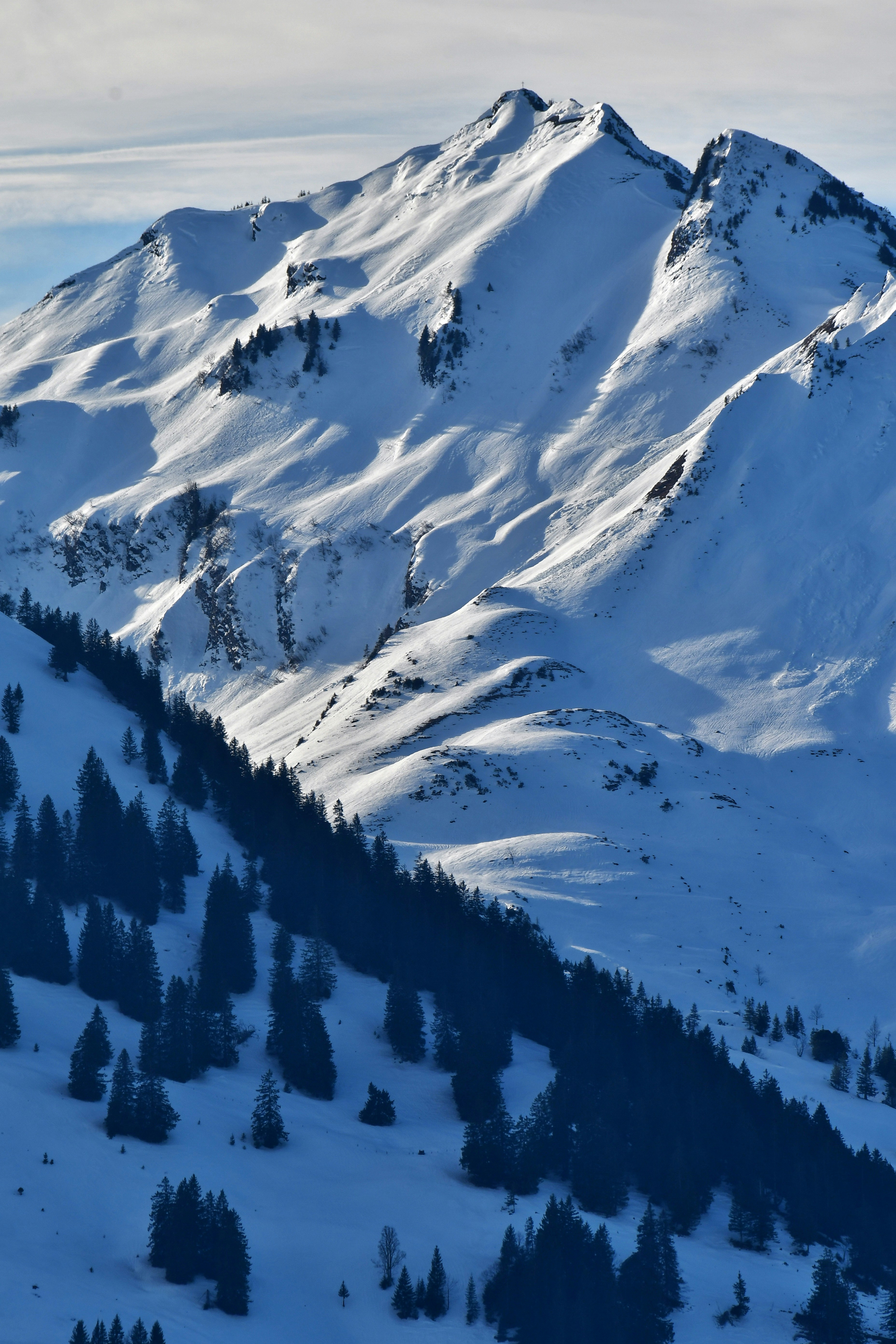 Photo by pedrino5_official