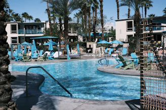 A serene resort pool surrounded by palm trees under a clear blue sky.