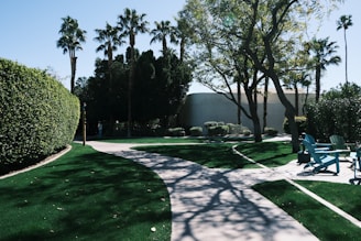 A peaceful park scene with a winding concrete pathway surrounded by well-maintained, lush green grass. Tall palm trees are scattered throughout the area, casting intricate shadows on the ground. To the right, there are several brightly colored wooden chairs arranged on a patio area under the shade of a large tree. In the distance, a modern building with a curved structure is partially obscured by trees and shrubs.