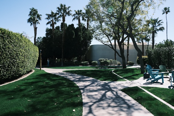 A peaceful park scene with a winding concrete pathway surrounded by well-maintained, lush green grass. Tall palm trees are scattered throughout the area, casting intricate shadows on the ground. To the right, there are several brightly colored wooden chairs arranged on a patio area under the shade of a large tree. In the distance, a modern building with a curved structure is partially obscured by trees and shrubs.
