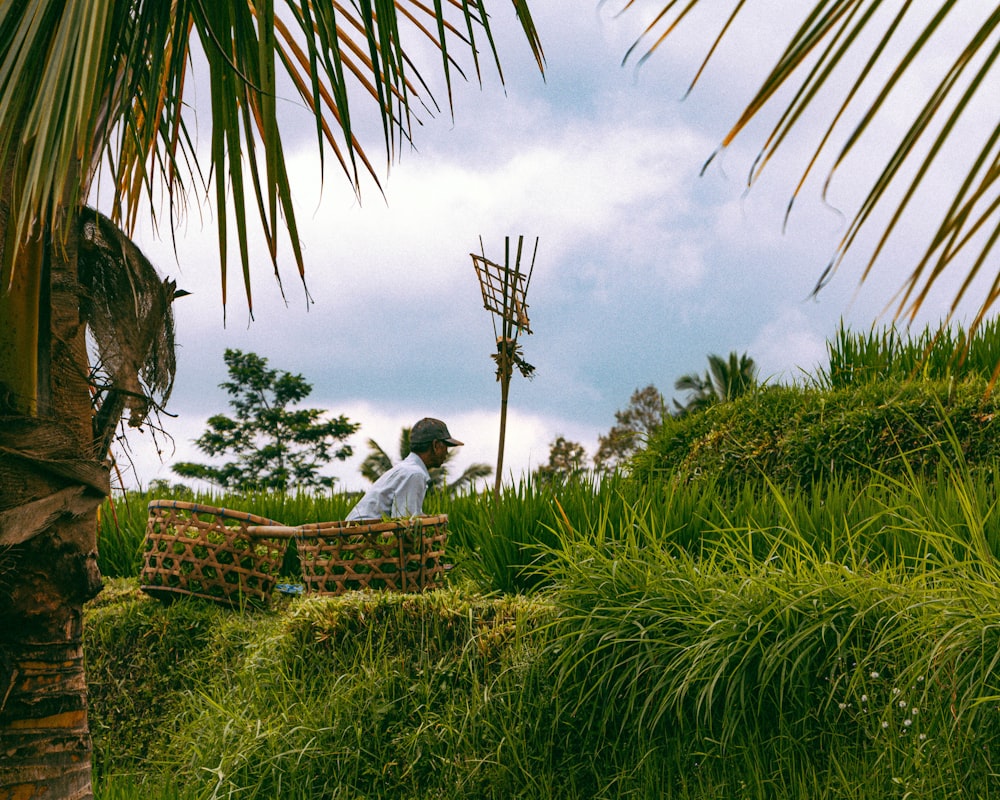 a man sitting on a bench next to a palm tree