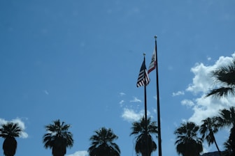 Two flags, the United States flag and a California state flag, are flying on tall poles against a clear blue sky. Several palm trees are silhouetted in the foreground, creating a contrasting image with the vibrant sky.