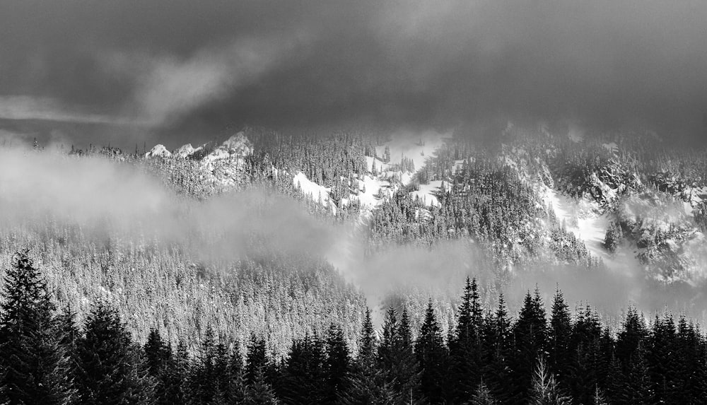 a black and white photo of a snow covered mountain