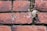Weathered red bricks with patches of white mortar and signs of aging. Moss and dirt can be seen in the crevices, indicating exposure to natural elements over time.