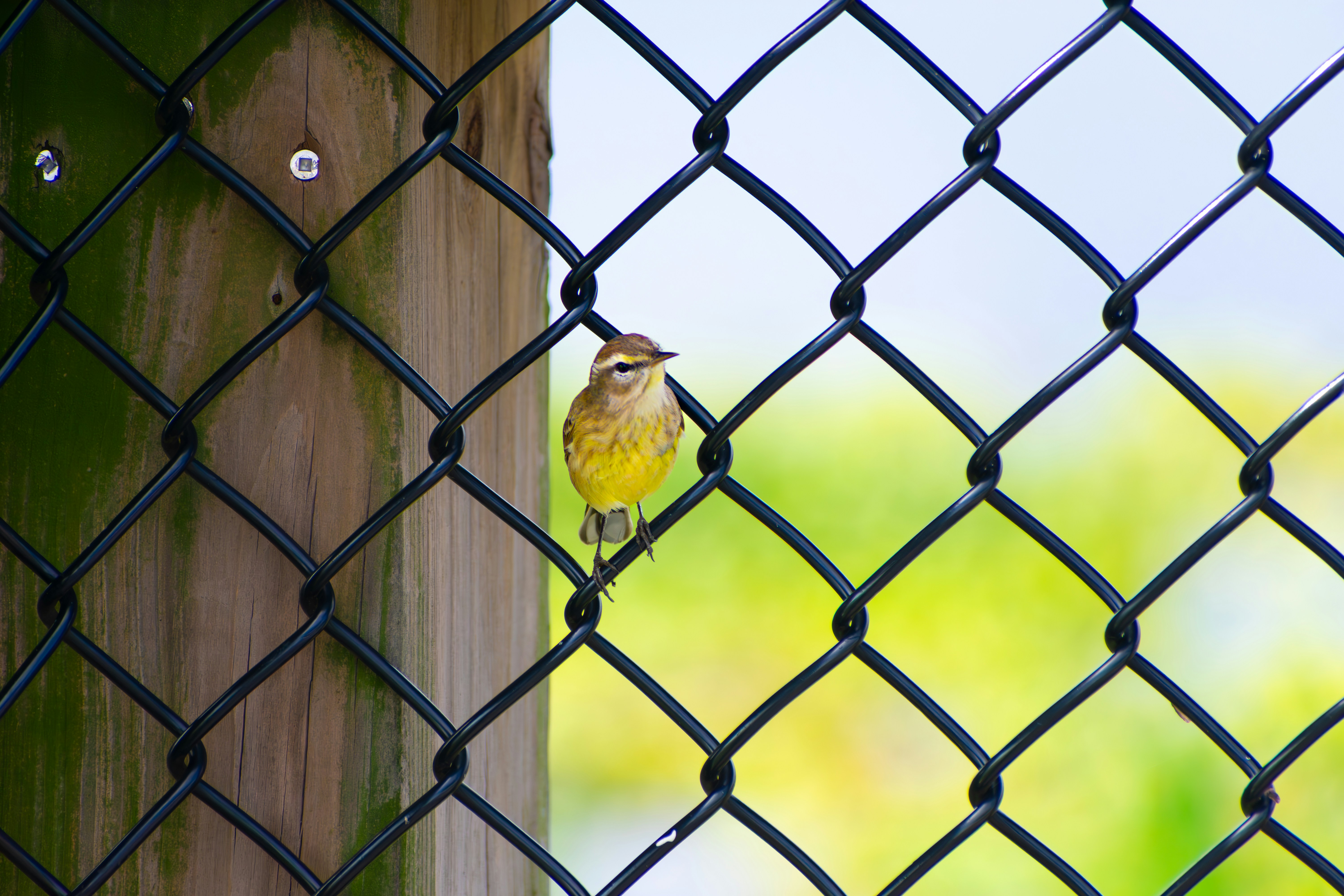 Photo by probablyrobin