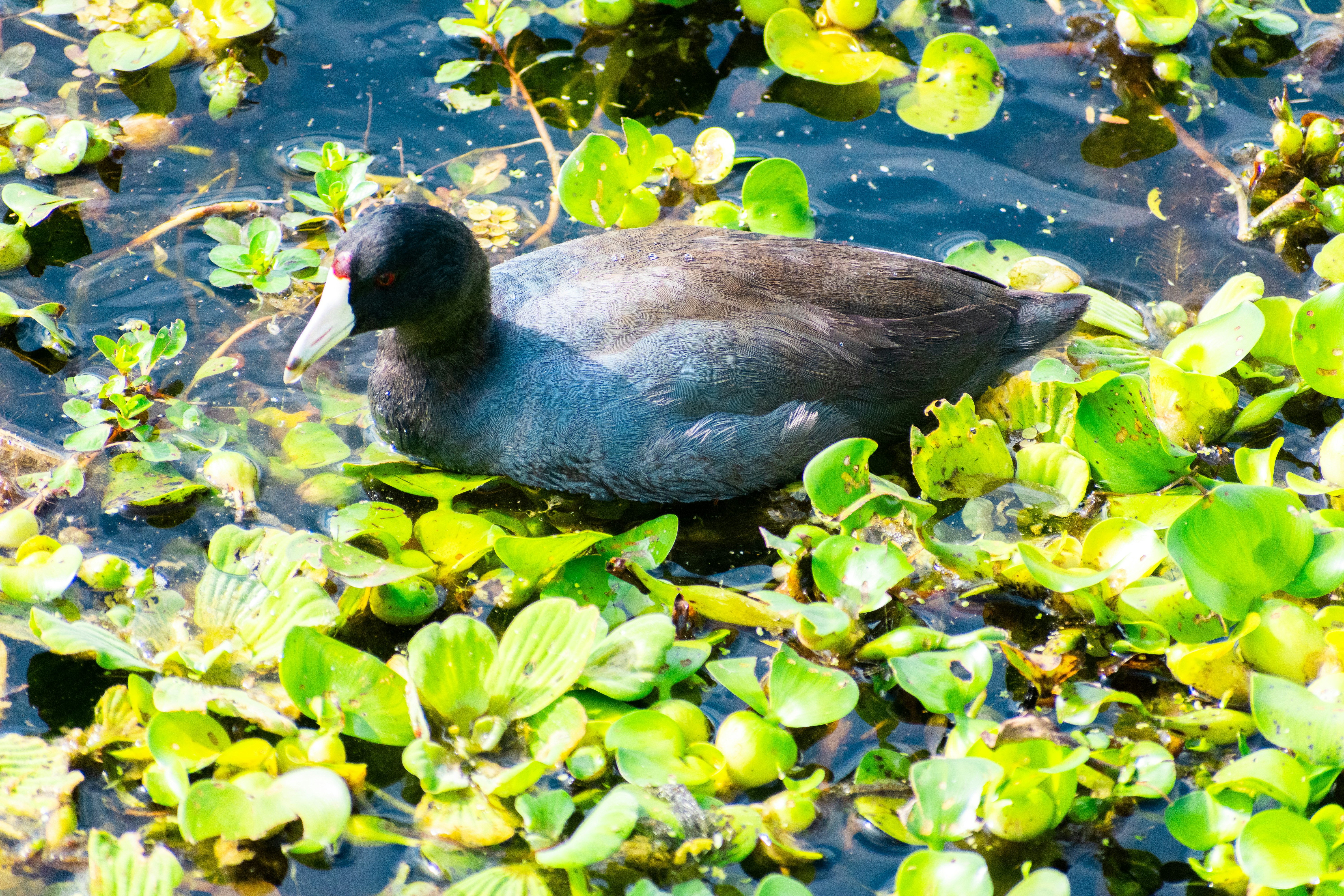 Photo by probablyrobin