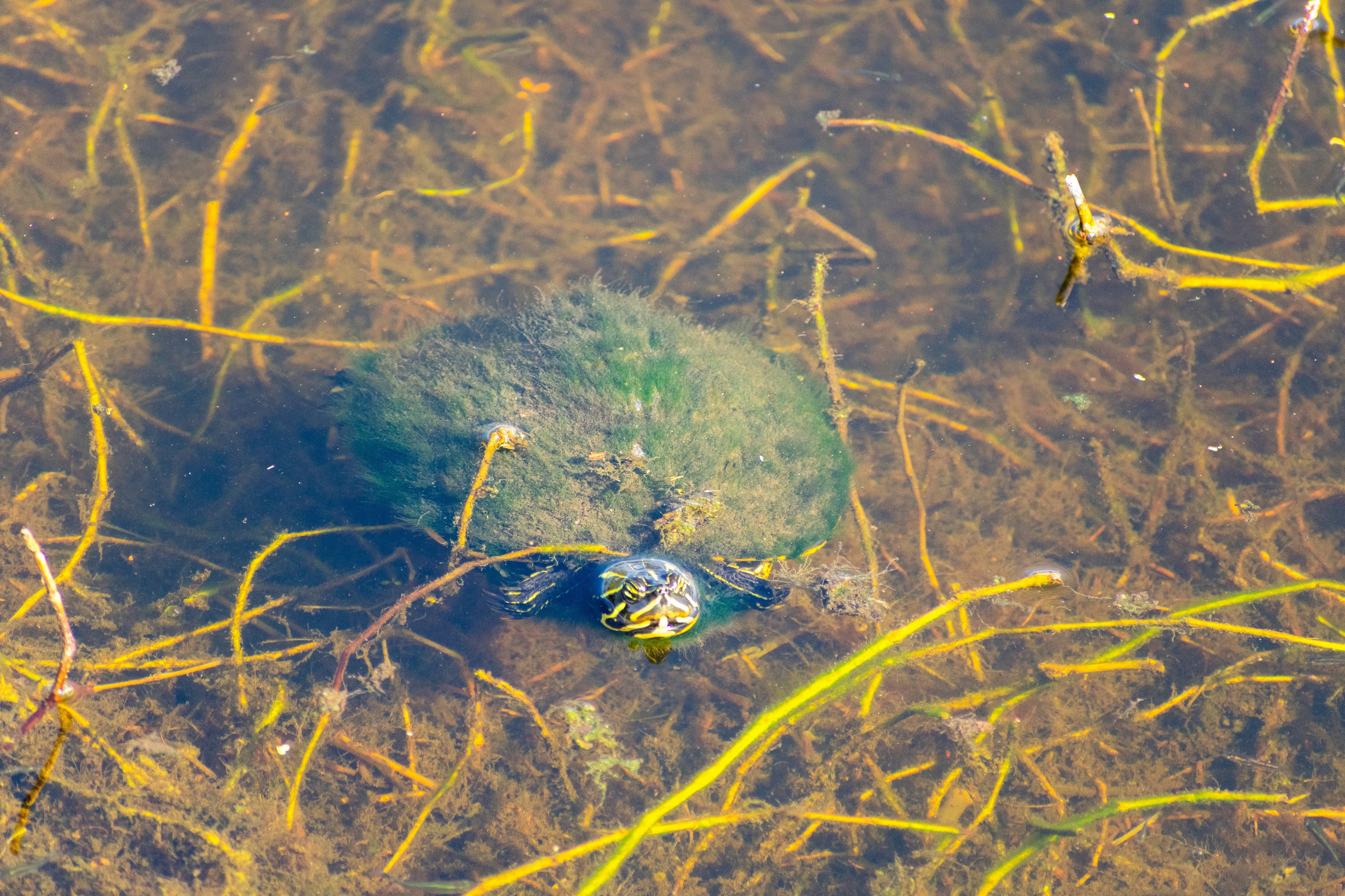 Photo by probablyrobin