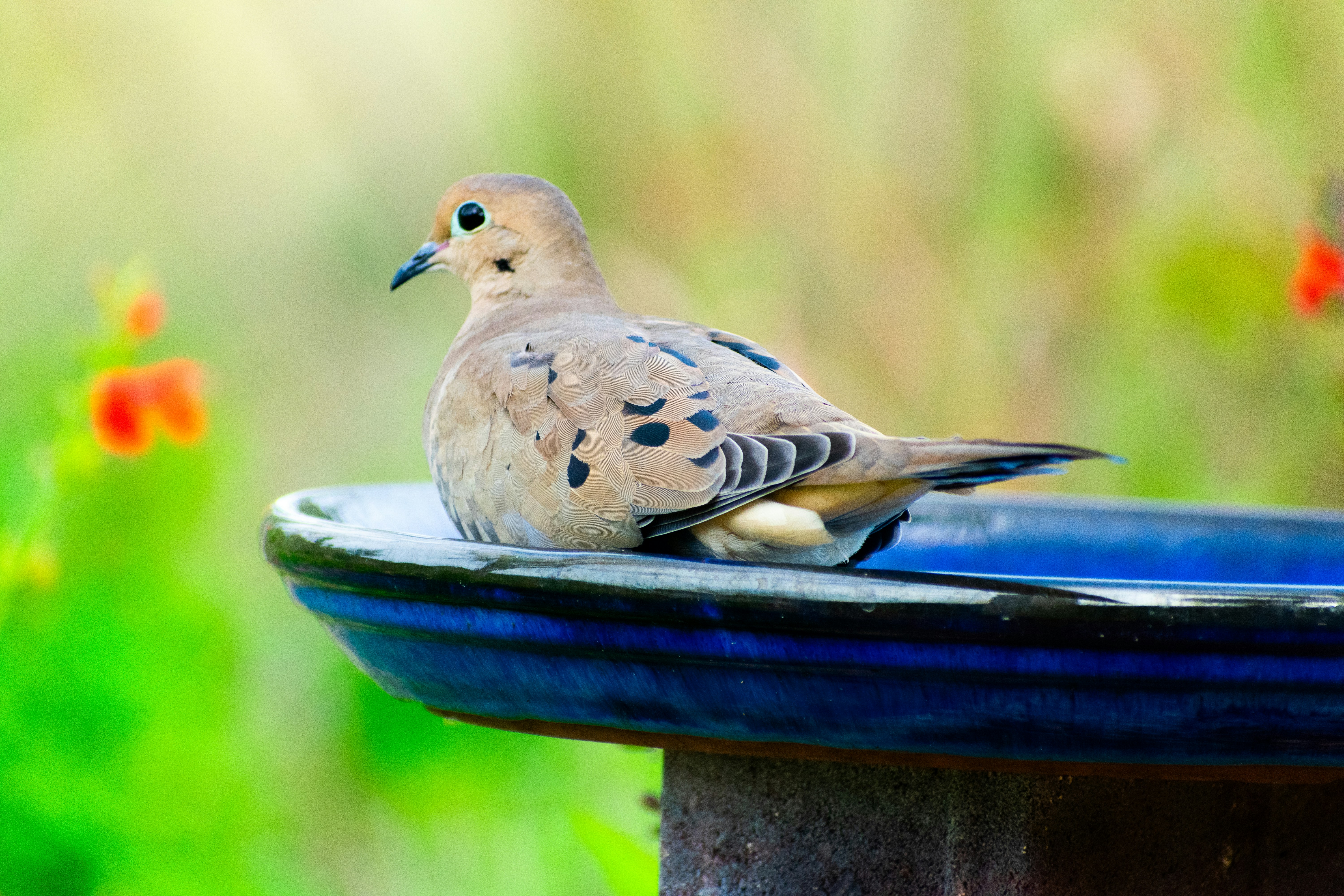 Photo by probablyrobin