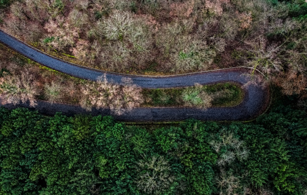 a winding road in the middle of a forest