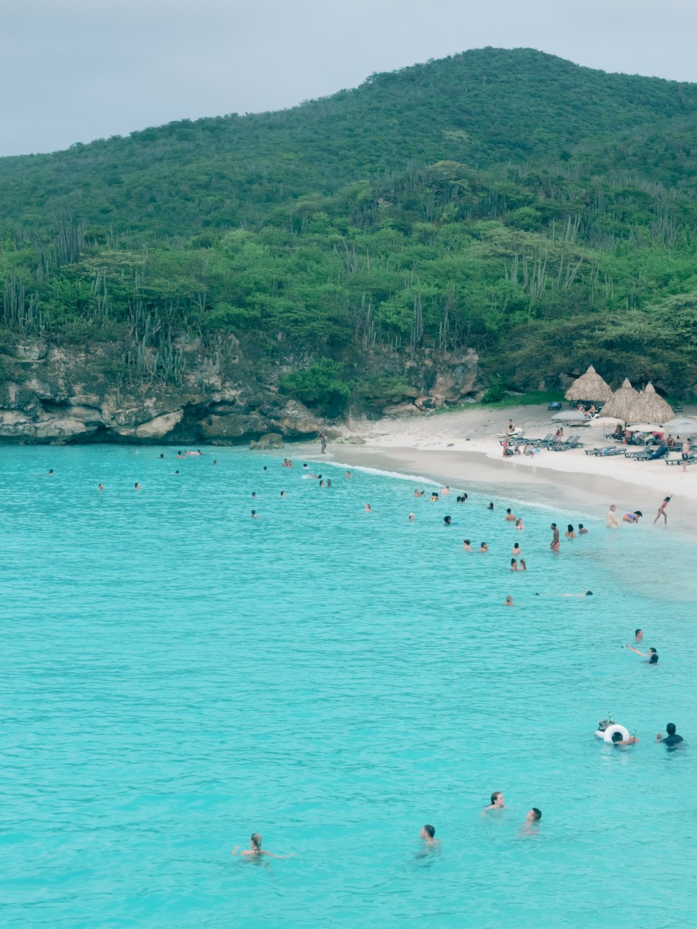 a group of people swimming in a body of water