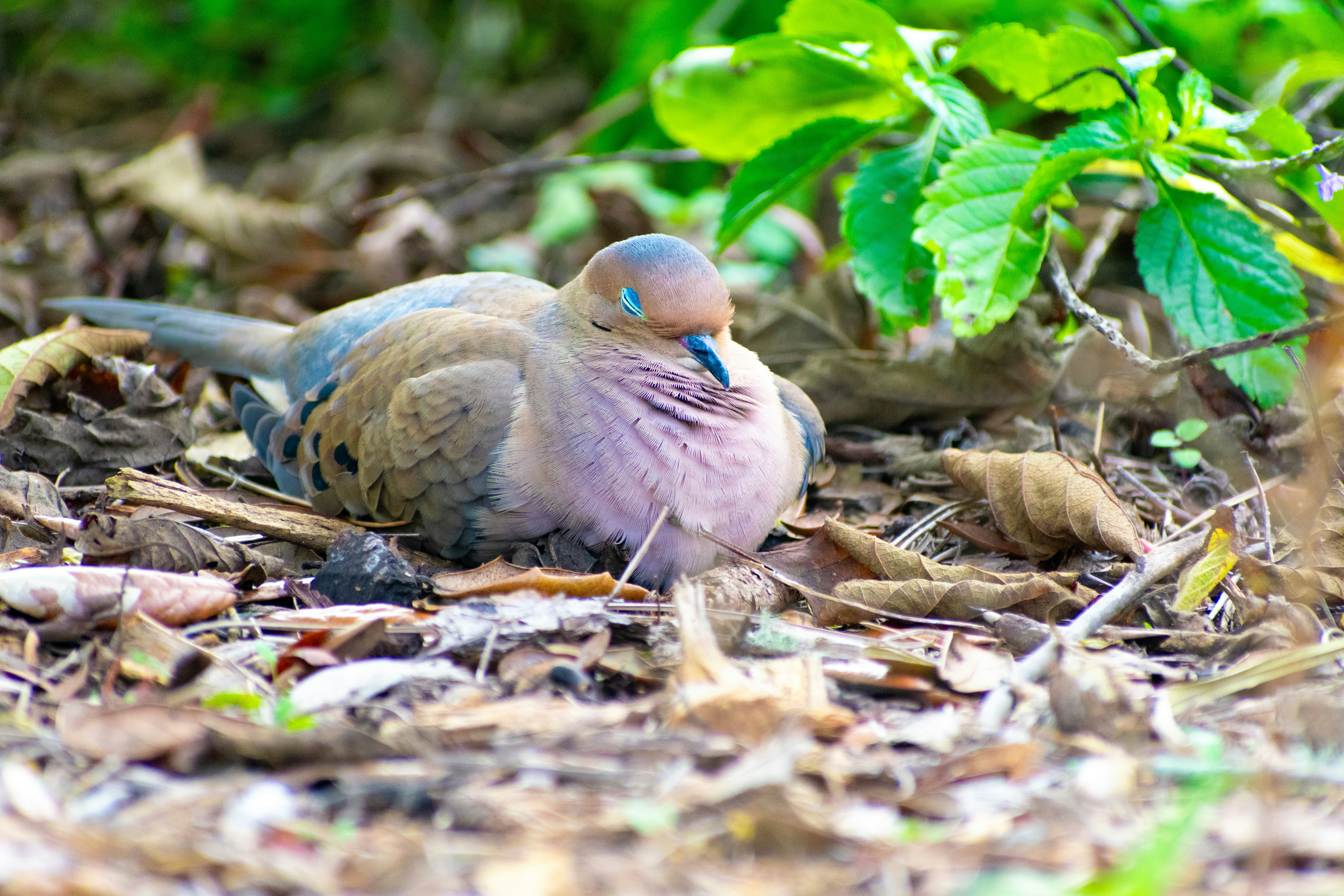 Photo by probablyrobin