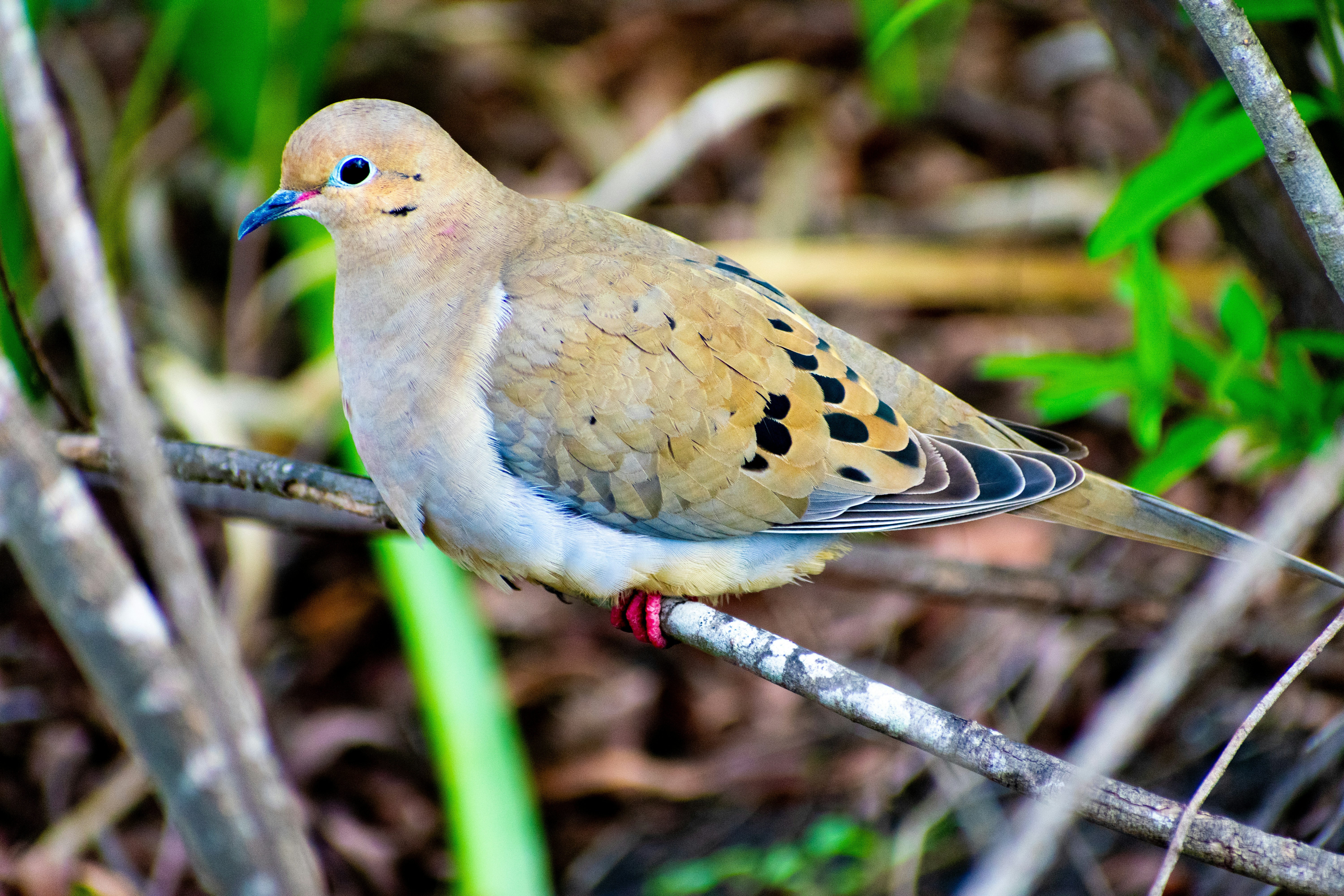 Photo by probablyrobin