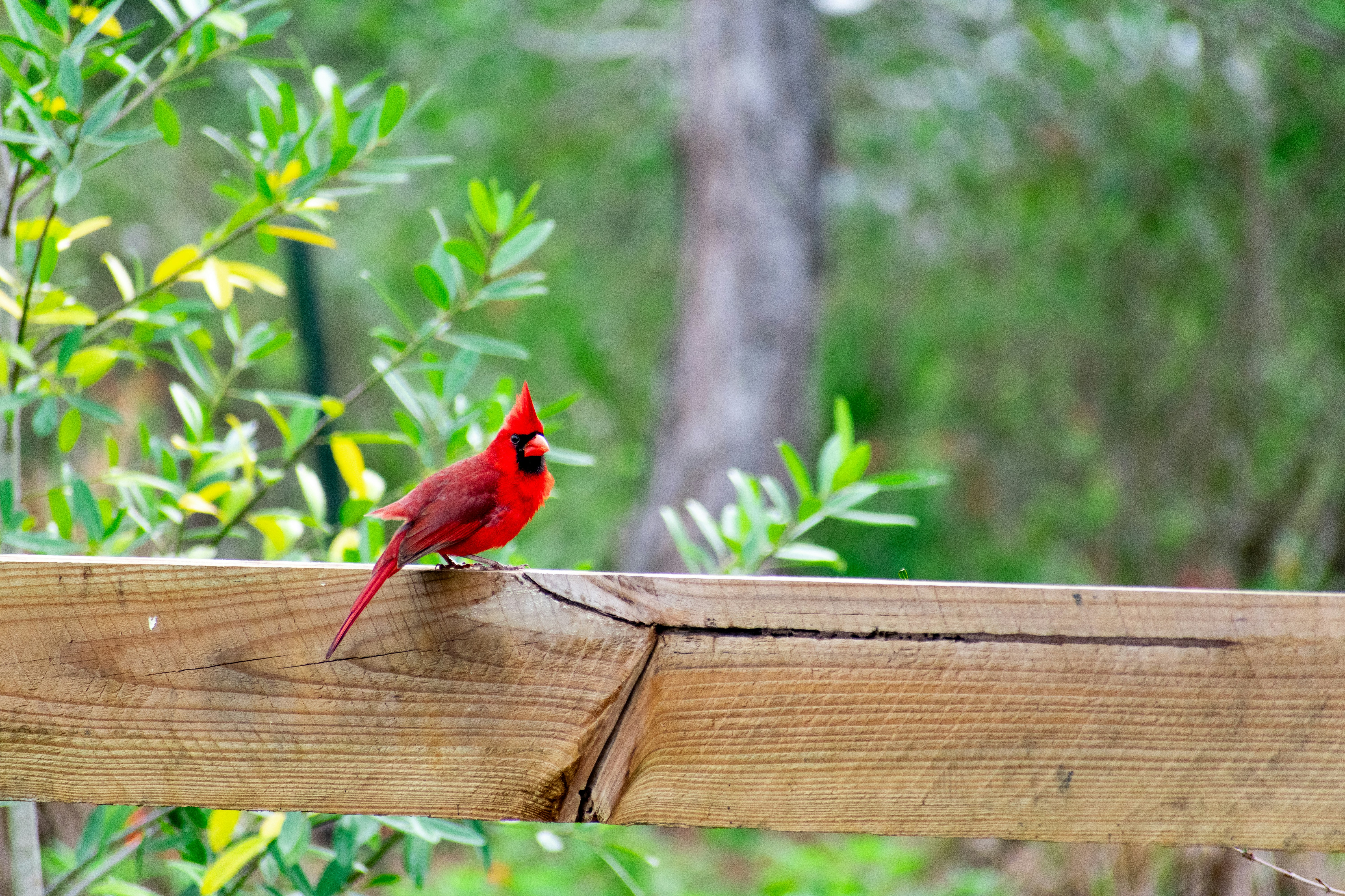 Photo by probablyrobin