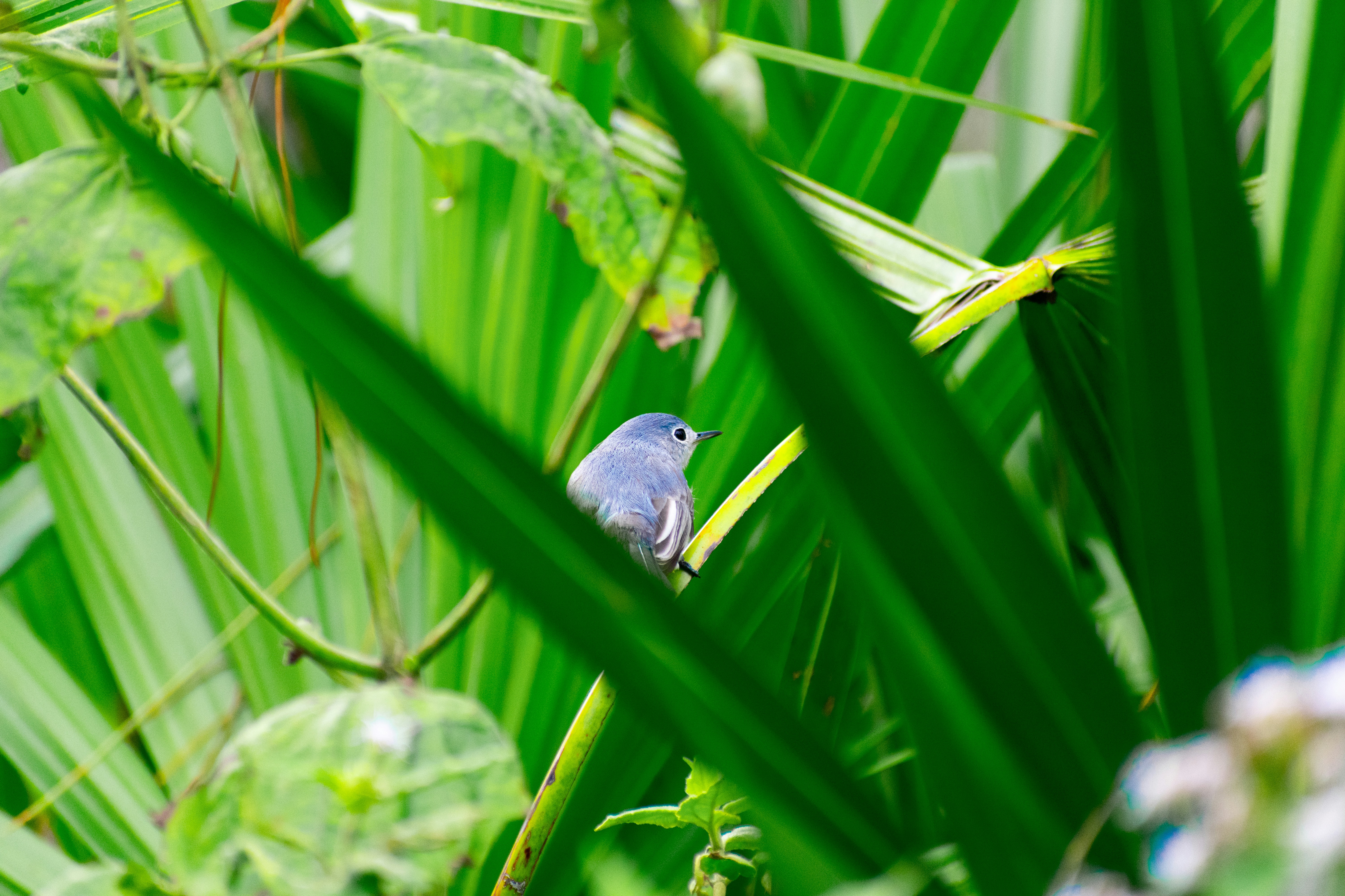 Photo by probablyrobin