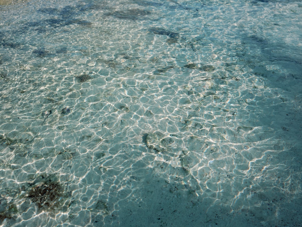 L’eau est cristalline et bleue