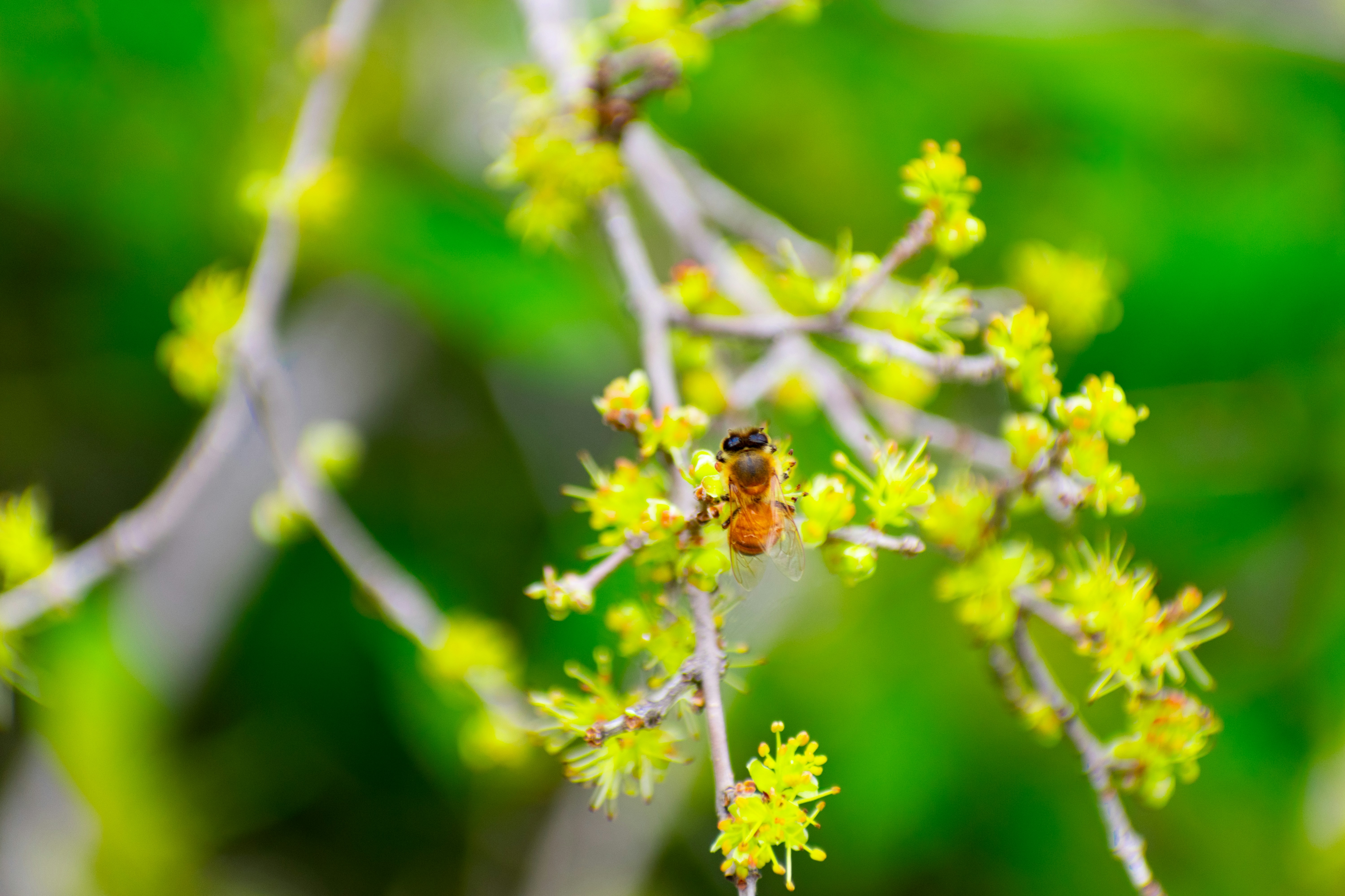 Photo by probablyrobin