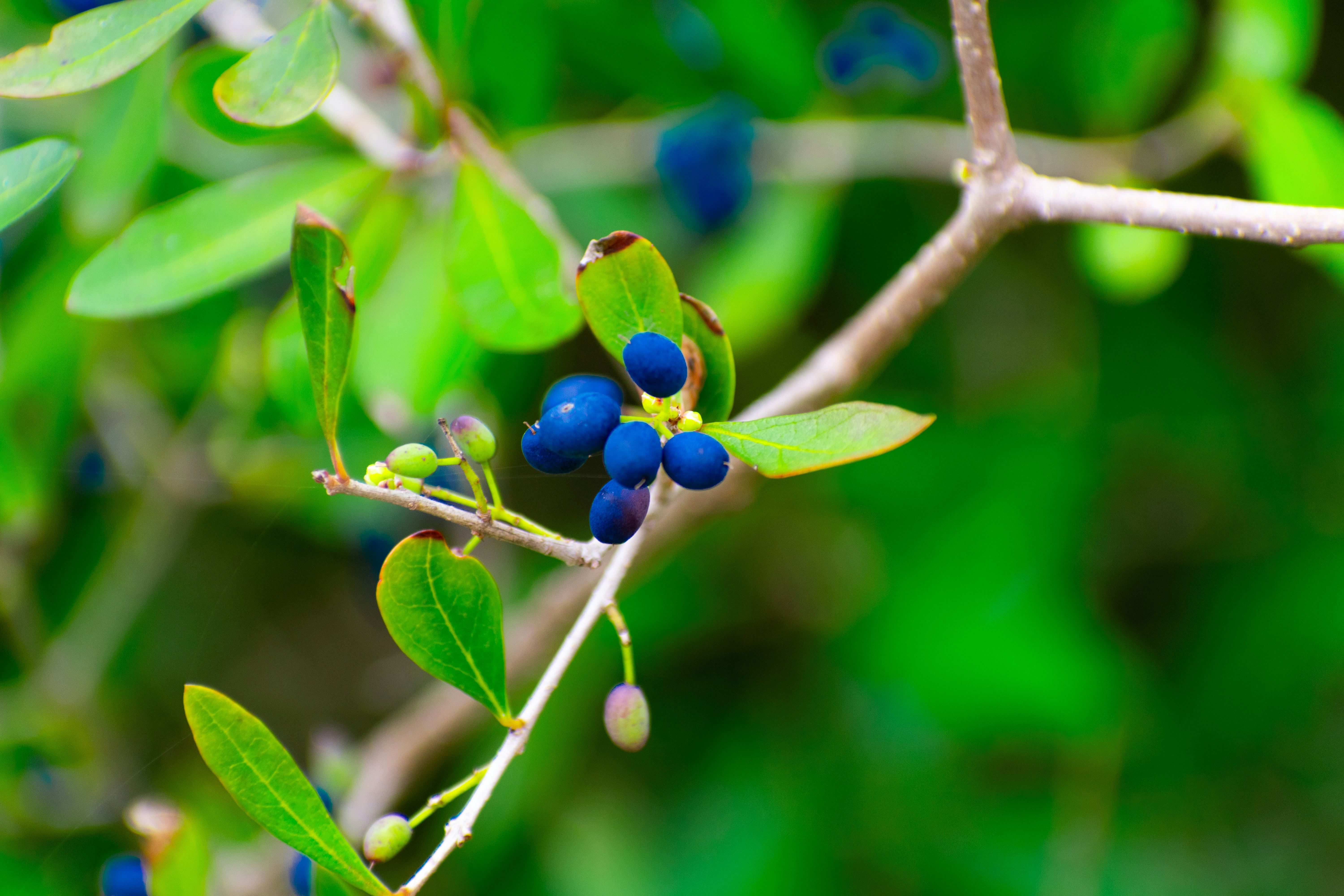 Photo by probablyrobin