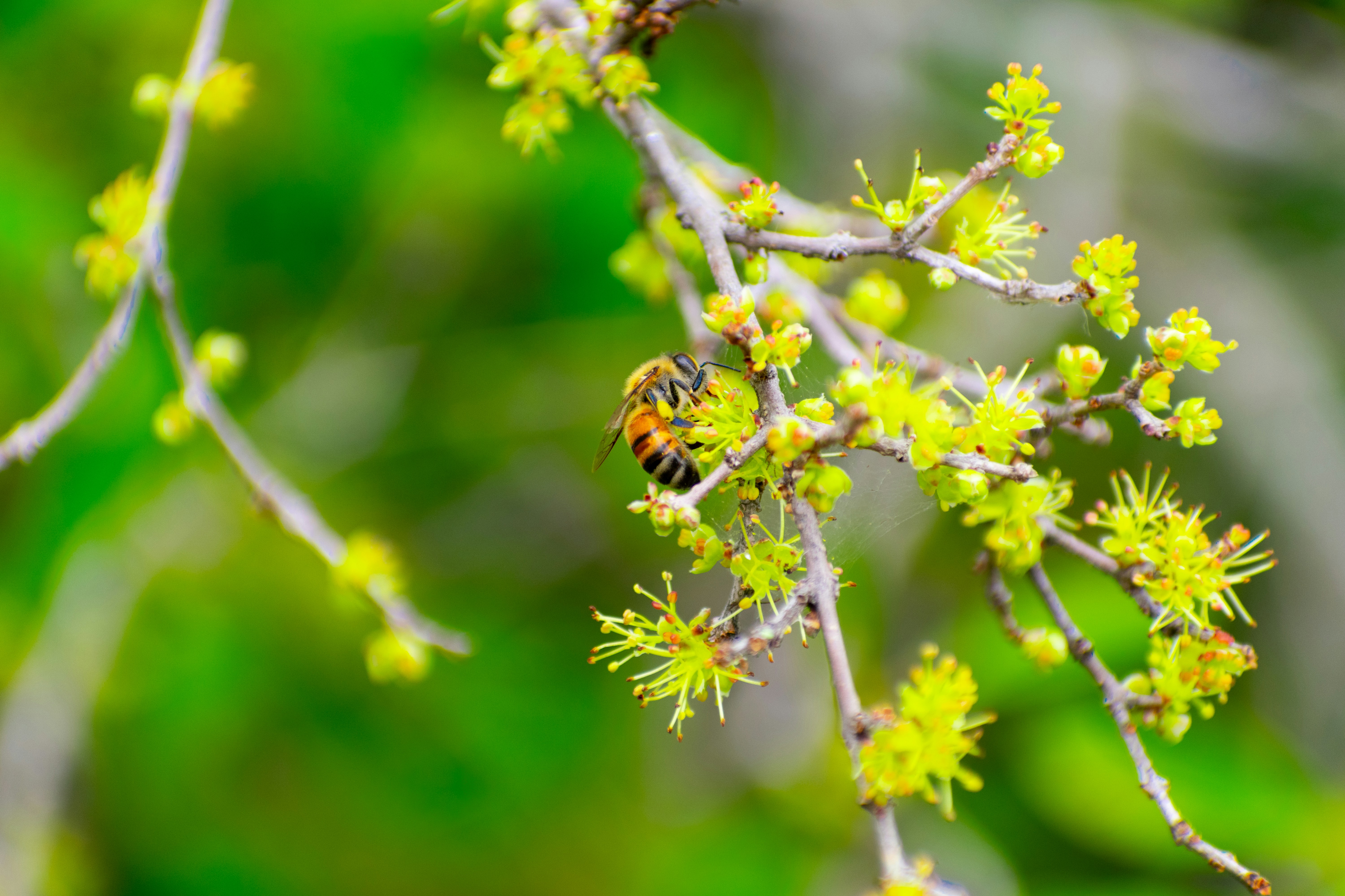 Photo by probablyrobin