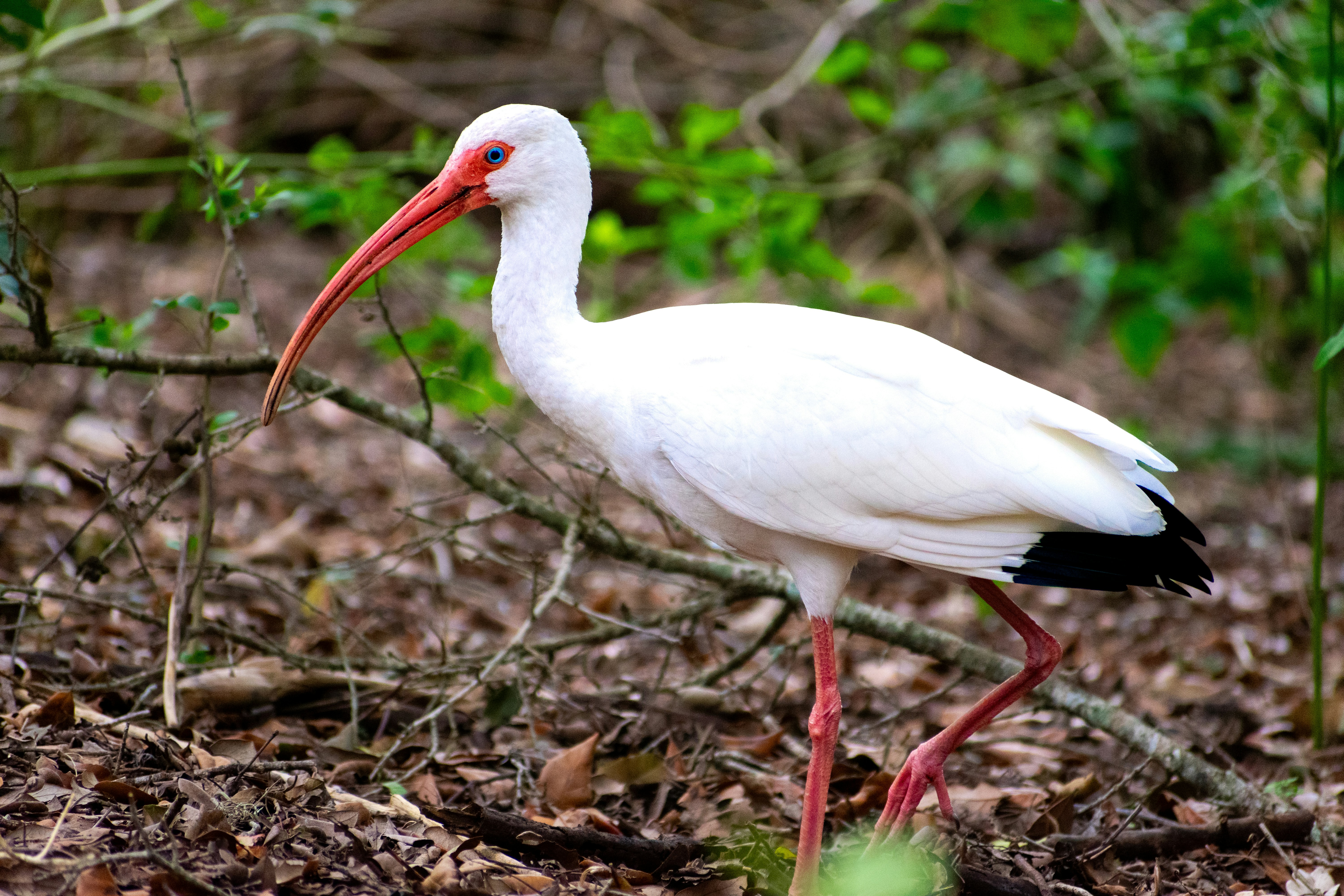 Photo by probablyrobin