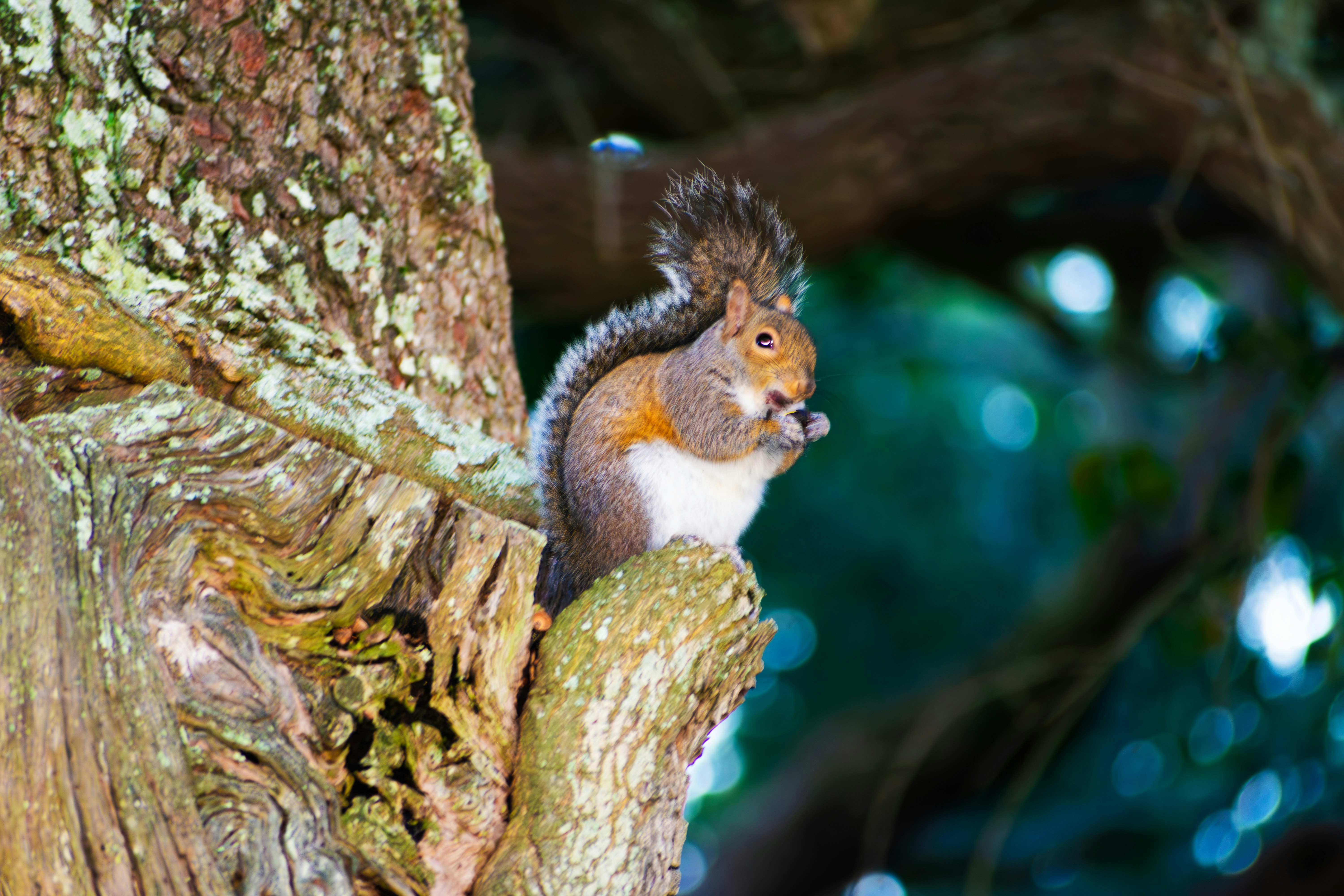 Photo by probablyrobin