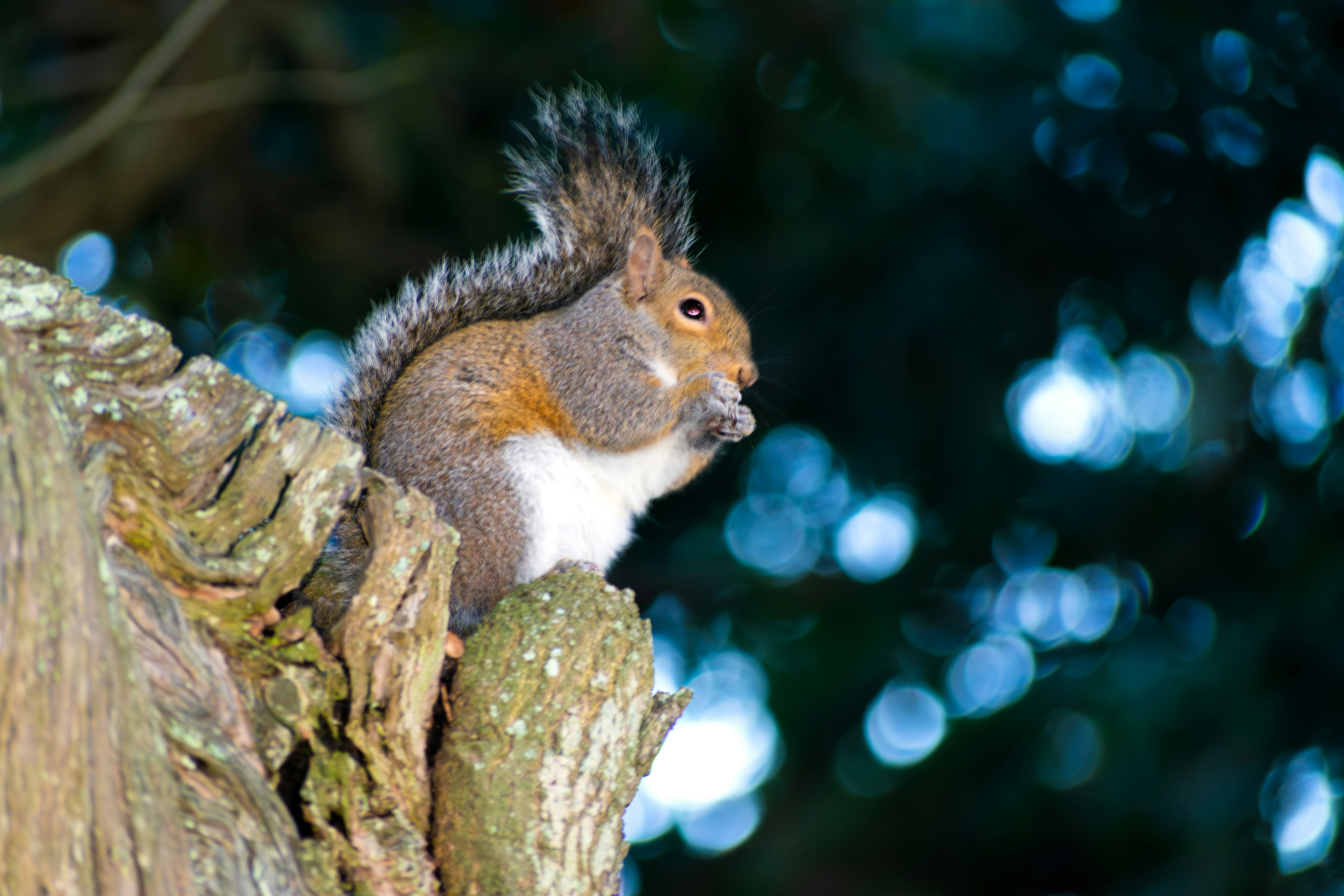 Photo by probablyrobin