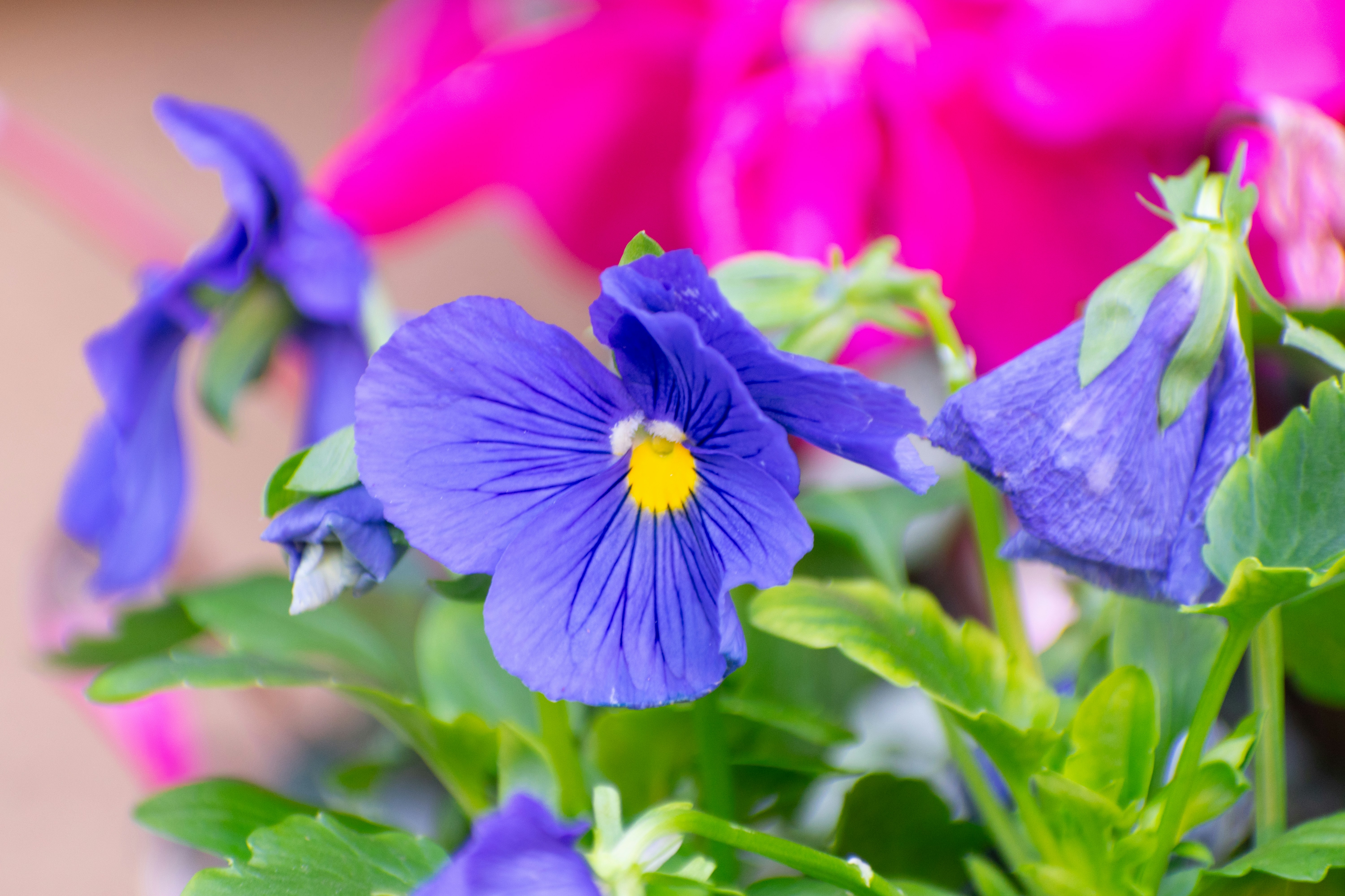 Photo by probablyrobin