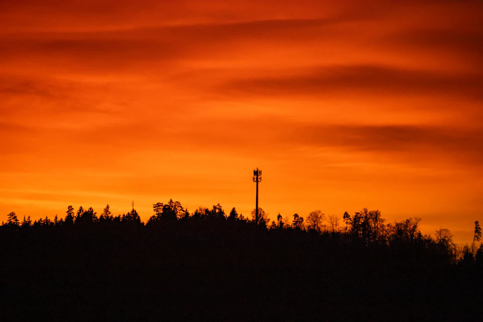 Serene sunset over forested area with orange and red hues in the sky