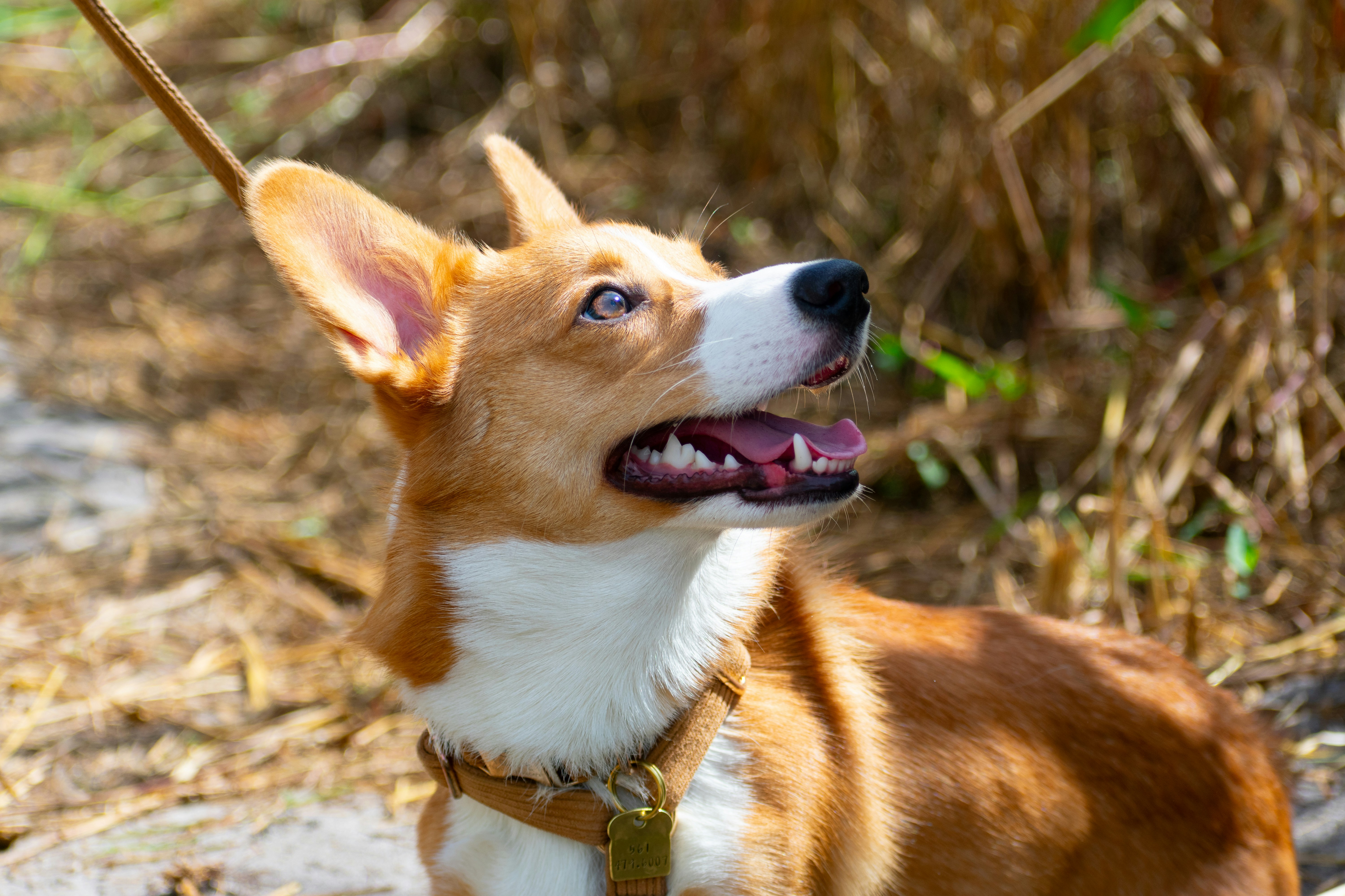 Photo by probablyrobin