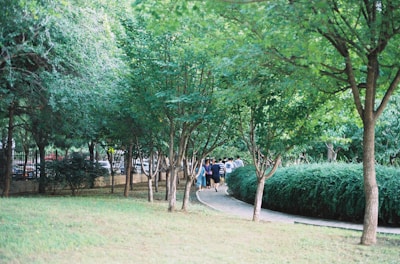 A peaceful outdoor scene with a group walking through a green park.