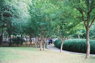 A serene scene of members walking together in a park, reflecting the supportive and peaceful spirit of the club.