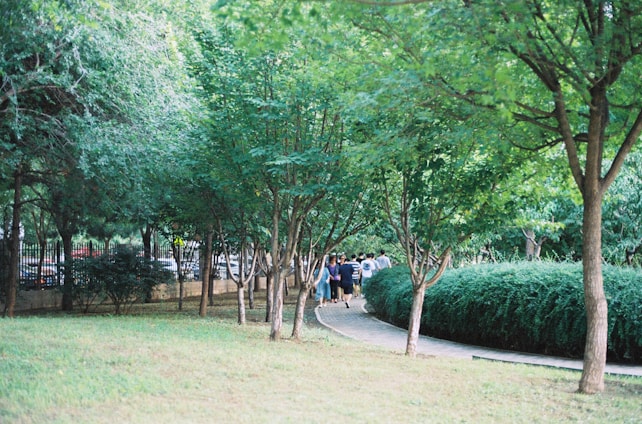A serene nature scene with a small group enjoying a peaceful outdoor retreat surrounded by lush greenery.