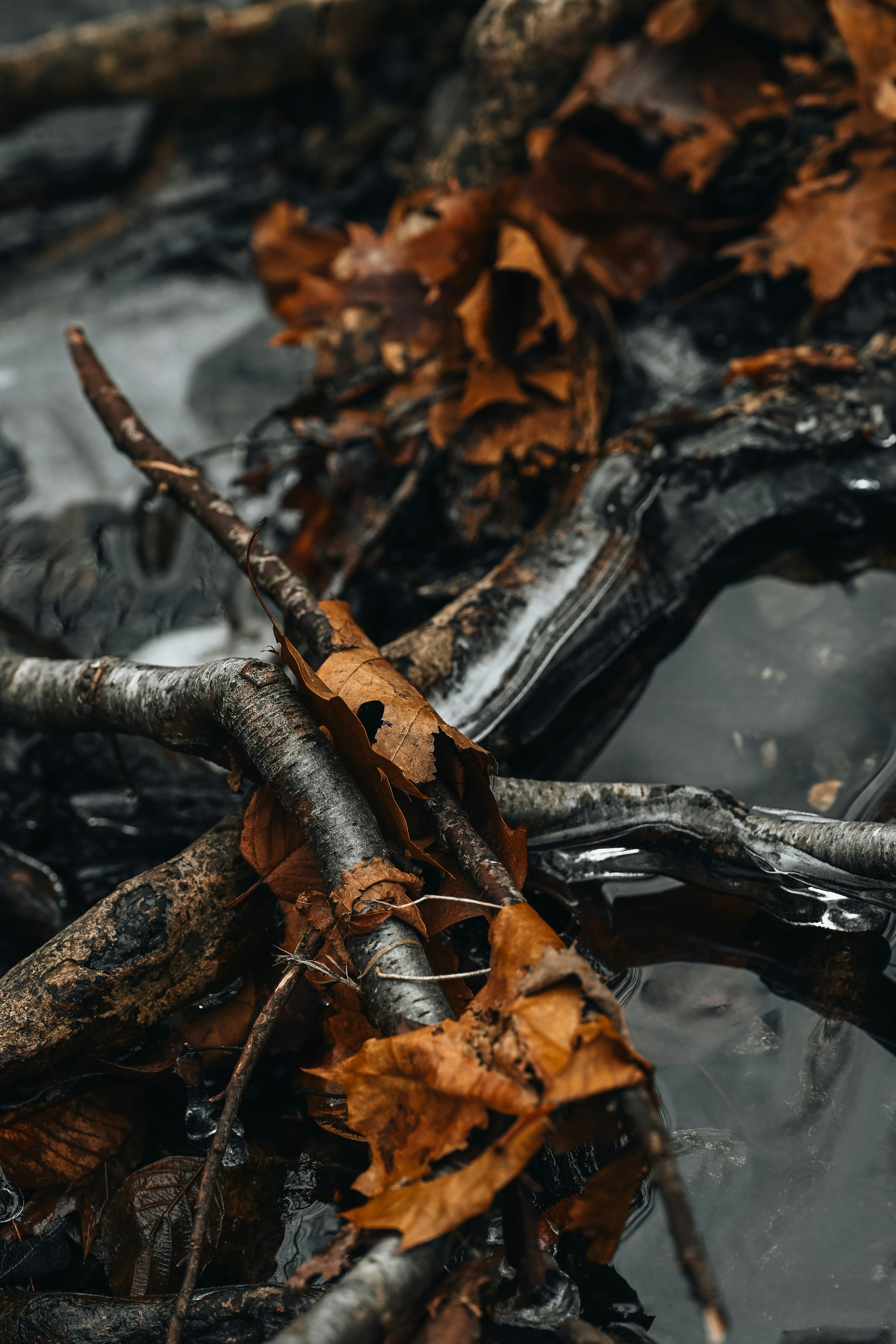 Photo by vargassantos