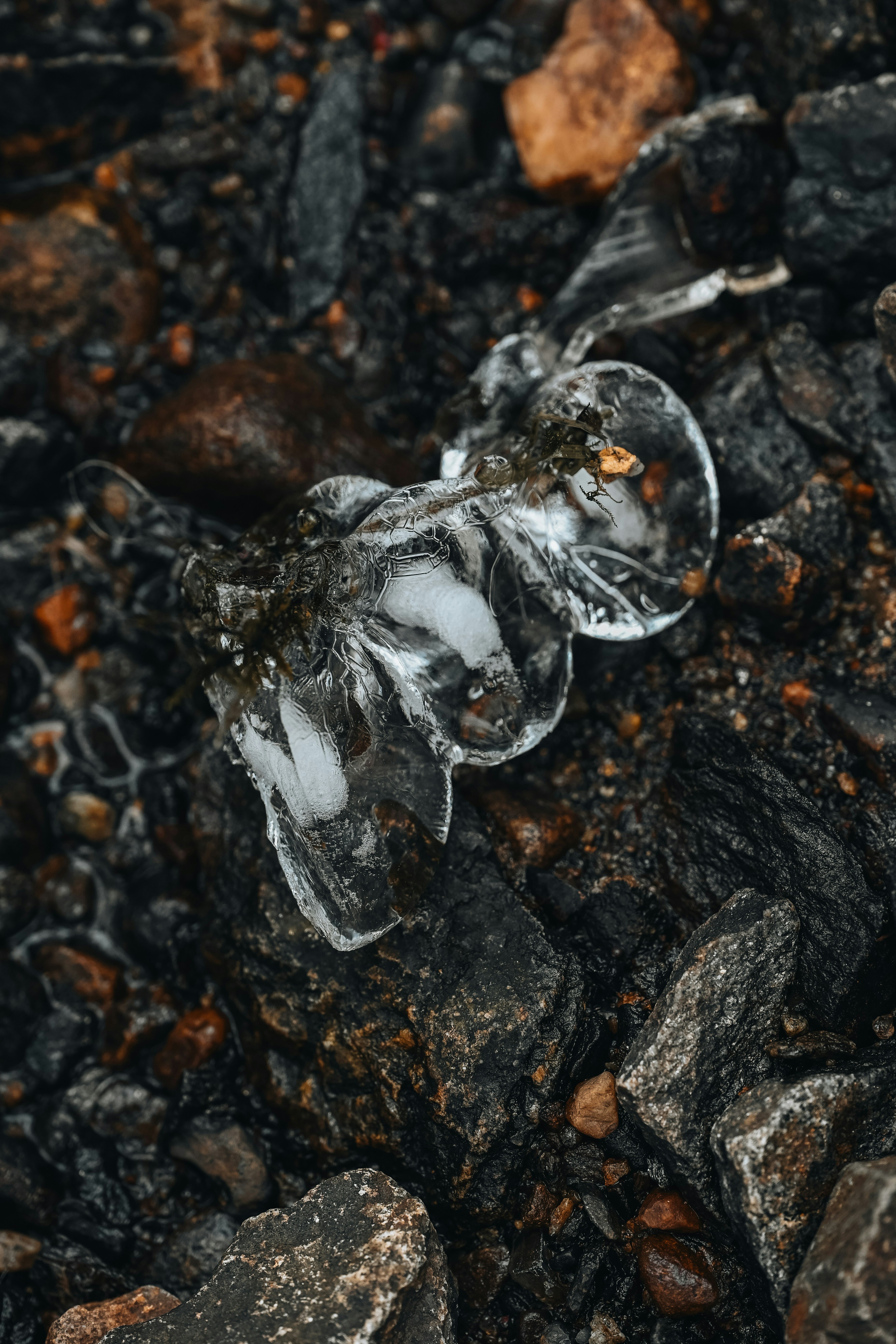 Photo by vargassantos