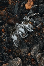 A crystal-clear piece of ice rests on a bed of dark, jagged rocks and gravel. The ice is partially melted, with intricate patterns and smooth surfaces that catch the light. The stones vary in size and color, featuring shades of brown, black, and grey, creating a stark contrast with the ice.