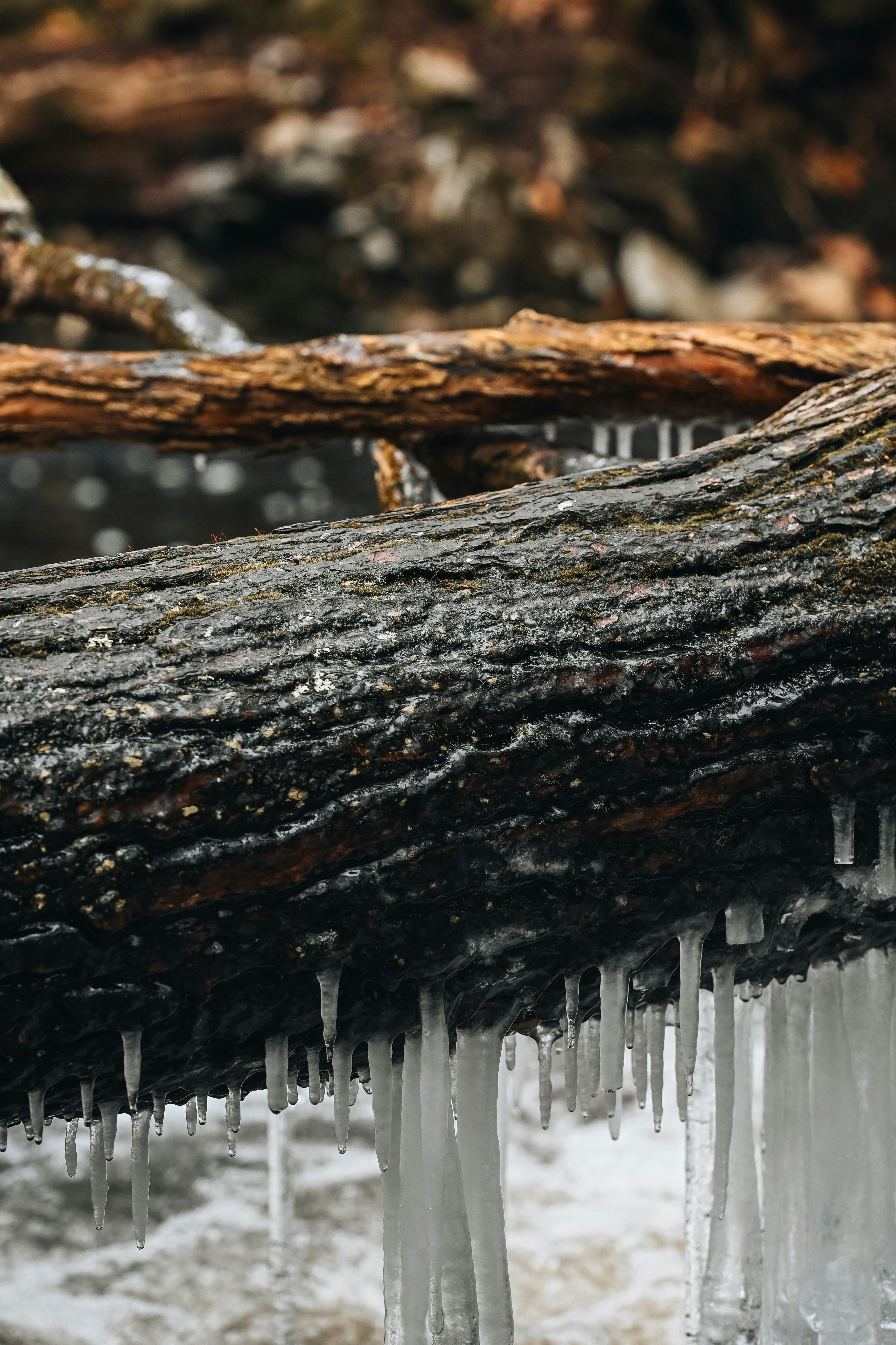 Photo by vargassantos