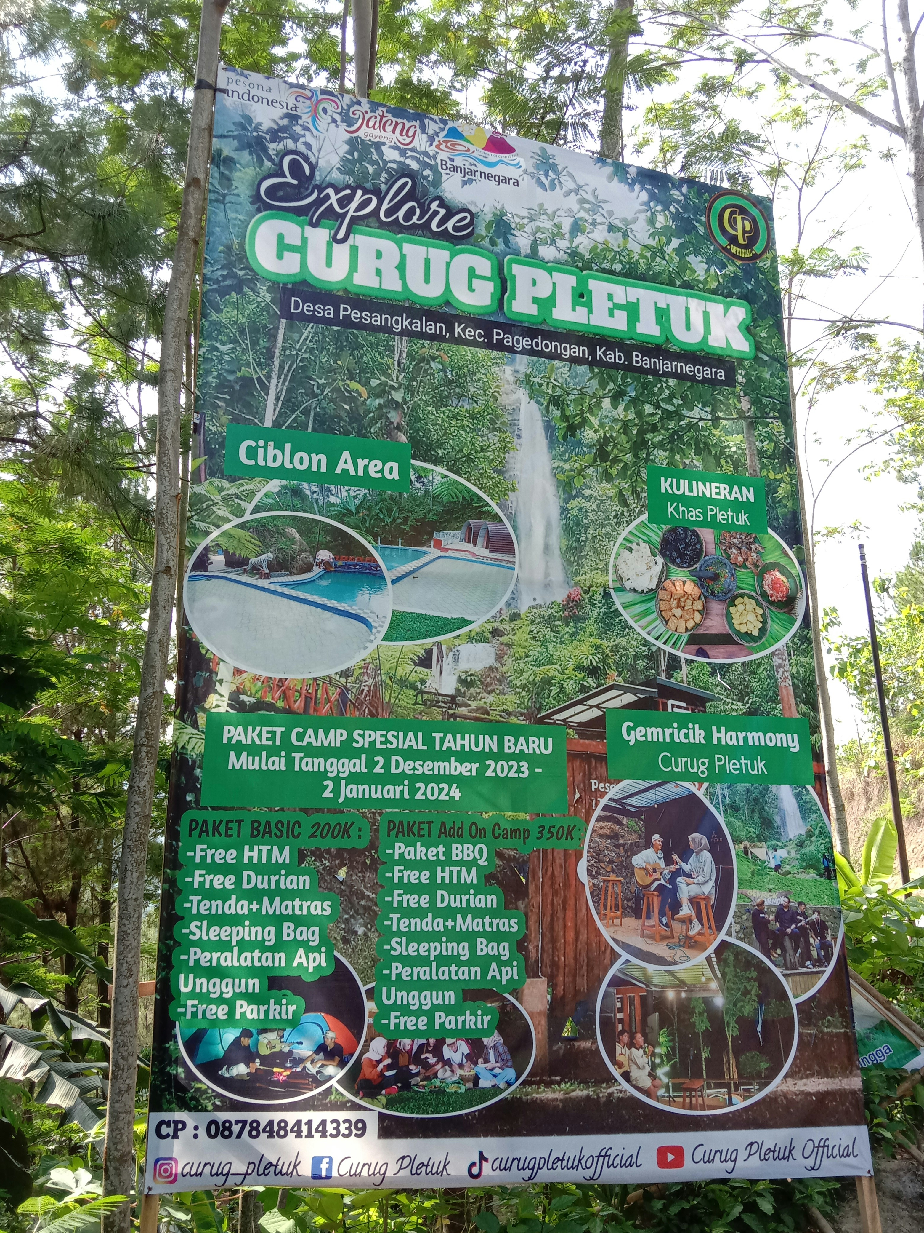 Ultimate Guide to the Top-Rated Komodo Tour Packages by Flores Pristine Tour