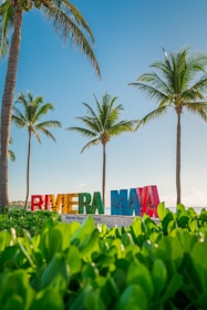 Colorful sign reading 'RIVIERA MAYA' stands under clear blue skies, surrounded by lush green foliage with tall palm trees in the background. The scene conveys a tropical beach vibe with a tranquil and inviting atmosphere.