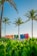 Colorful sign reading 'RIVIERA MAYA' stands under clear blue skies, surrounded by lush green foliage with tall palm trees in the background. The scene conveys a tropical beach vibe with a tranquil and inviting atmosphere.
