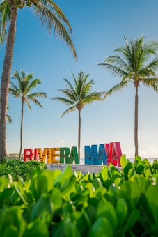Colorful sign reading 'RIVIERA MAYA' stands under clear blue skies, surrounded by lush green foliage with tall palm trees in the background. The scene conveys a tropical beach vibe with a tranquil and inviting atmosphere.