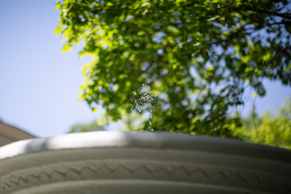 a close up of a tire with a tree in the background