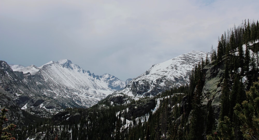 a snow covered mountain range with trees in the foreground